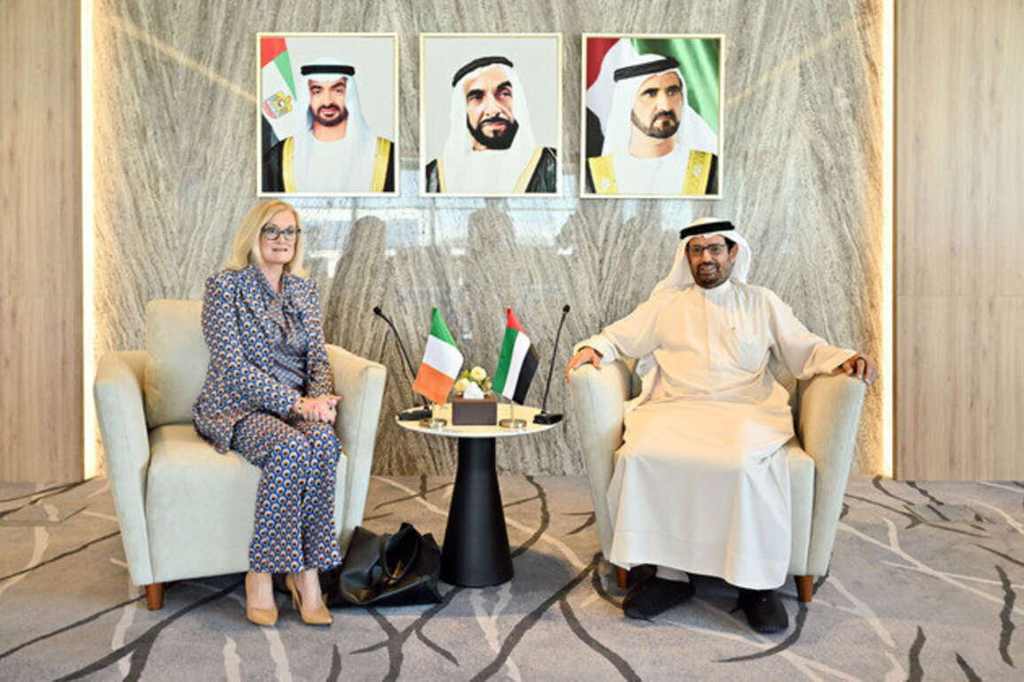 FNC discusses enhancing parliamentary cooperation with Ireland's Senate
