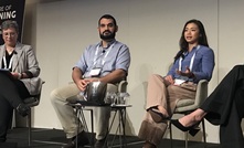 Panellists discussing the issue.