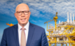 Peter Dutton has promised to speed up approvals for the Woodside application and to slash red tape.