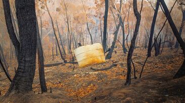 Farmers may be tempted to cut back policies to reduce insurance costs, but experts warn there can be devastating consequences of being underinsured.