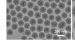 When filled with biopesticides like tea tree oil, tiny silica nanoparticles with surface spikes purpose-built to give prolonged periods of protection (pictured) could be a key puzzle piece for flystrike control.