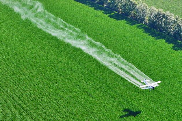 Tech innovation reshapes China's granary heartland, bolstering food security