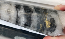  Visible gold from Pantoro's recent Mainfield drilling