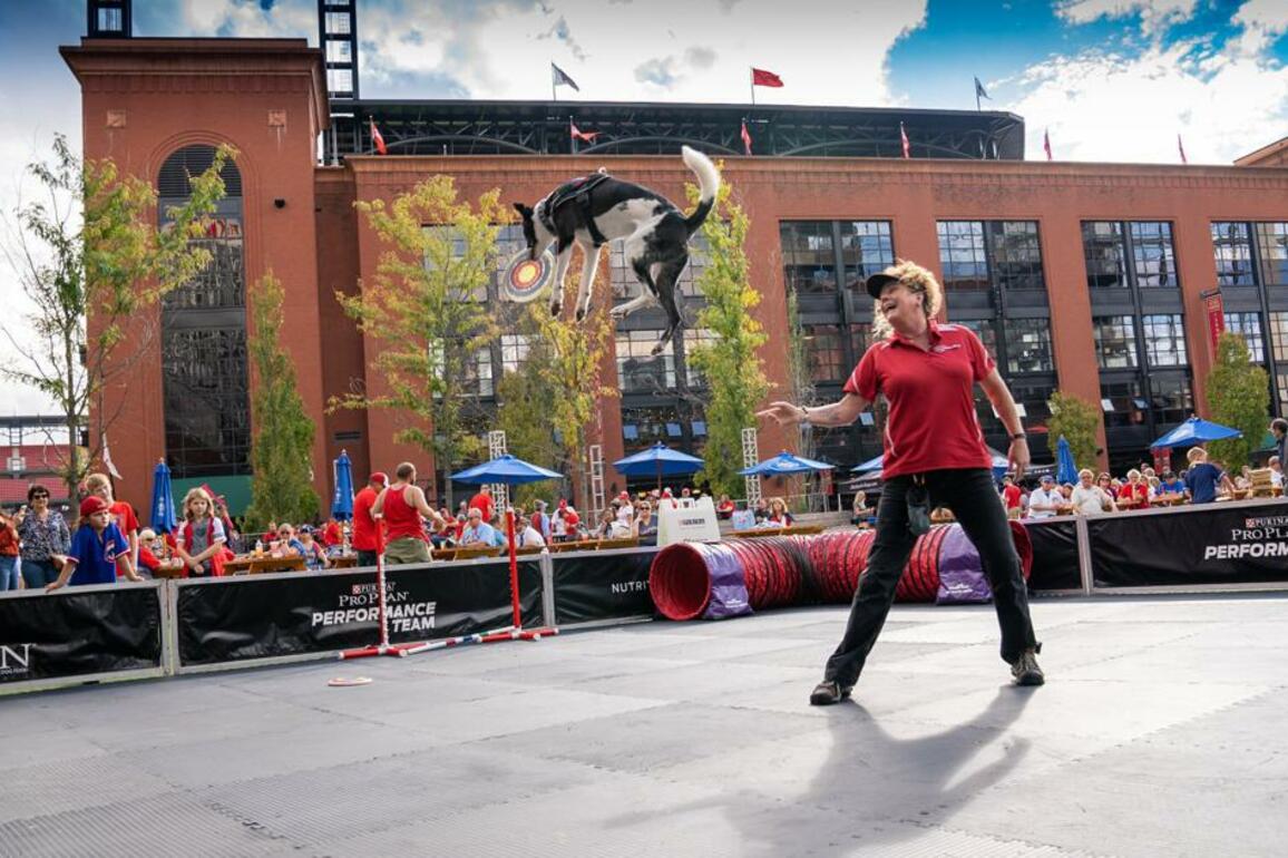 Purina invites you and your dog downtown on April 12