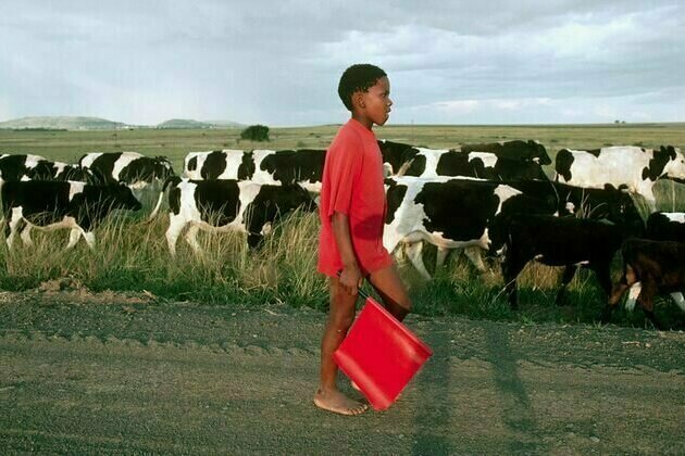 Child labour numbers rise in homes where adults are jobless - South African study
