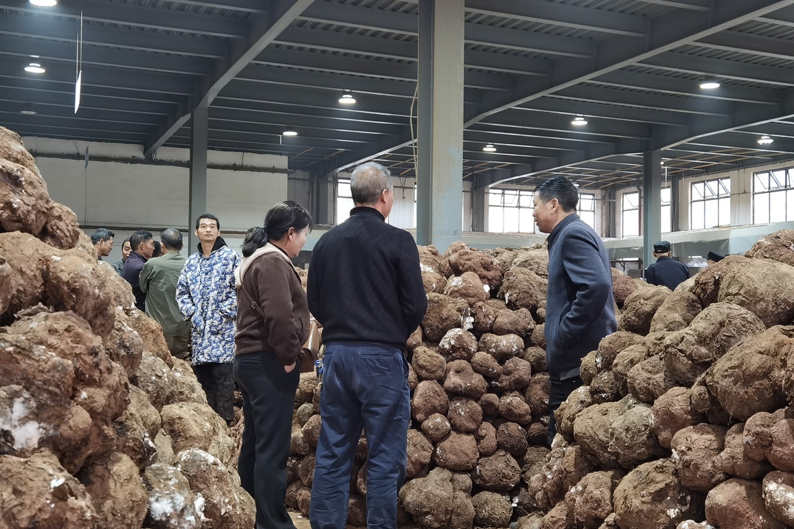 CHINA-HUNAN-HUAIHUA-RURAL ECONOMY-FOREST GLADES (CN)