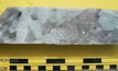  Core from Piedmont