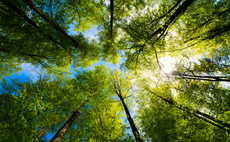 Lab-grown fur and regulatory step-changes - a look at sustainable investing in 2023