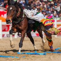 InXizang | Lhasa hosts horse riding performances to celebrate Tibetan New Year