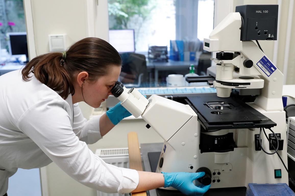 Brain enzyme discovery may open new path to treat neurodegenerative disease