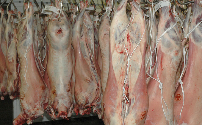 Non-stun meat exports under fire