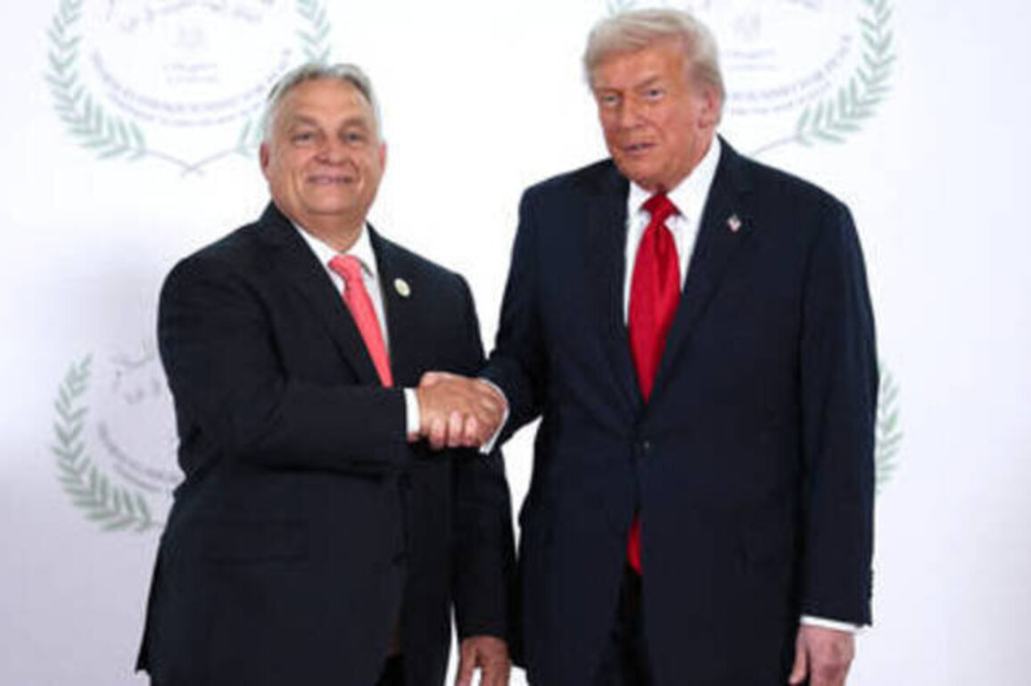 Orban heads to meet Trump: How conservative allies are repairing Biden-era damage