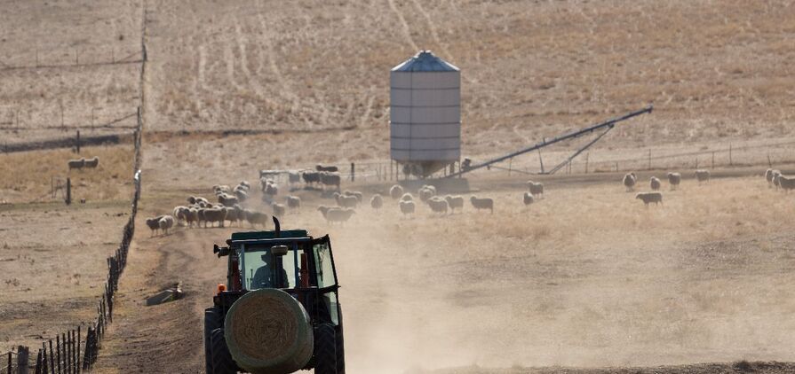 BOM said El Niño often brings drier conditions to central and eastern Australia in winter and spring, but not always. 