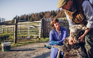 Why working closely with your vet makes more financial sense than ever