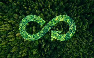 'We are going in the wrong direction': Government faces calls to deliver 'bold' new circular economy strategy