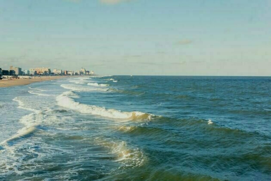 Humanity depends on the ocean - Here is what we need to prioritize for immediate ocean science research