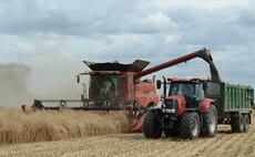 Harvest 20: Oilseed rape yields reflecting season's difficulties