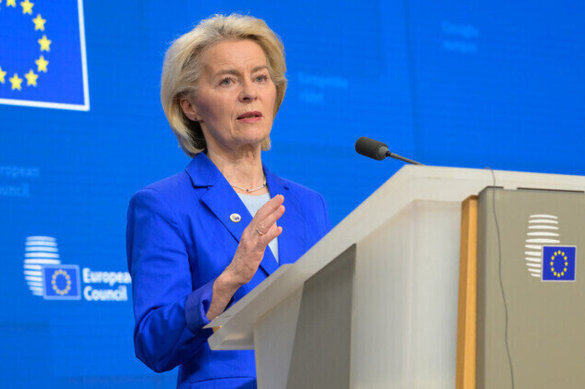 Von der Leyen immune to democracy  AfD leader