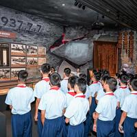Interview: China's contribution an important part in World War II, says Harvard historian