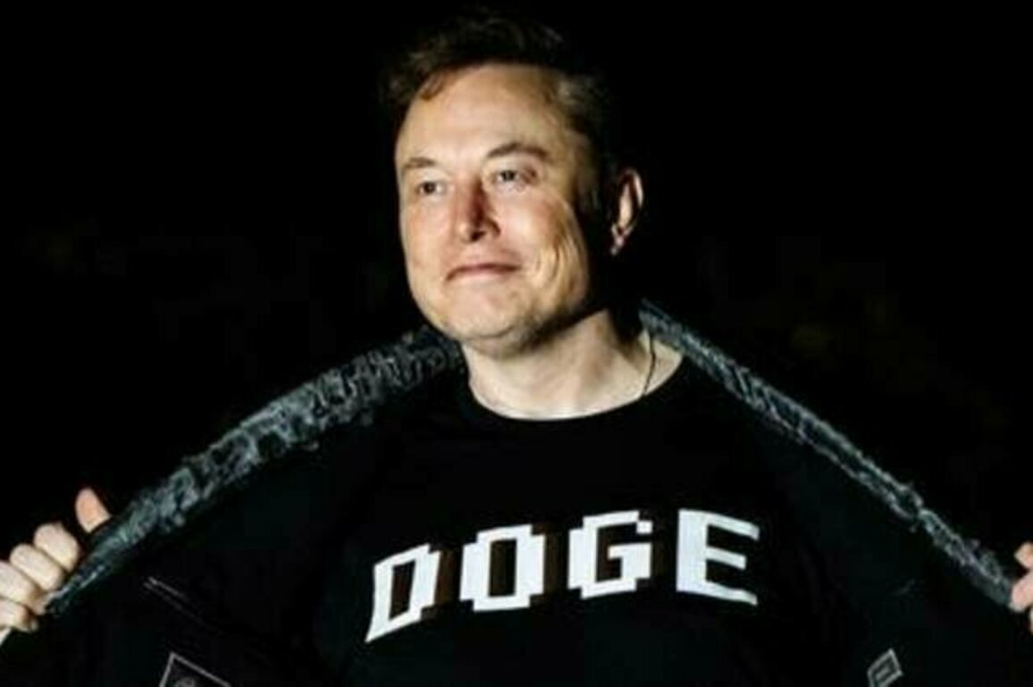 Musk and Bessent had 'WWE fight' in White House - Axios