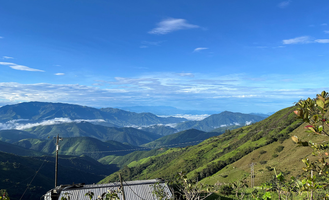 The Dynasty project in Ecuador