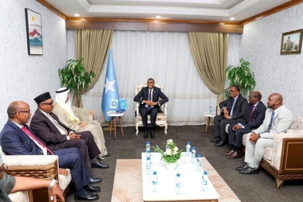 Global Council for Tolerance discusses strengthening peace-building efforts in Somalia