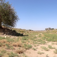SYRIA-HASAKAH-DROUGHT-STRICKEN LAND
