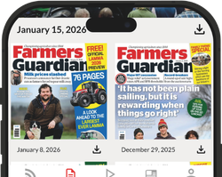 Digital archive image