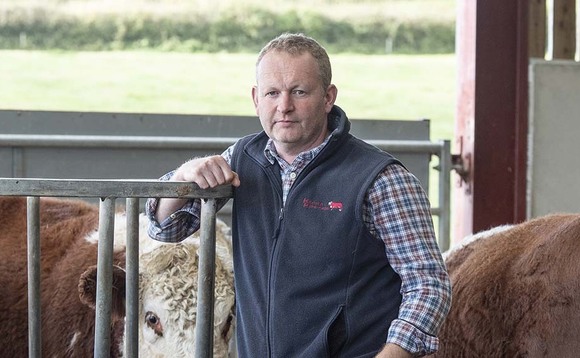 In your field: Mike Harris - 'Our senior stock bull has been given the summer off'