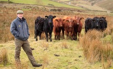 Peak District farmers establish environmental cooperative