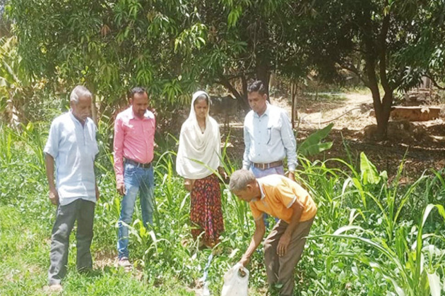 Gujarat: Over 66 lakh farmers receive Rs18,000 crore under PM-KISAN