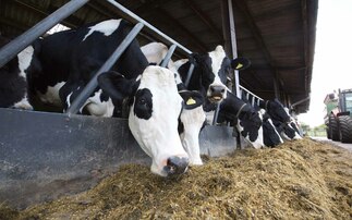 Welcome note: "Online furore over methane inhibitor Bovaer highlights delicate balance of the public's support for farming." 