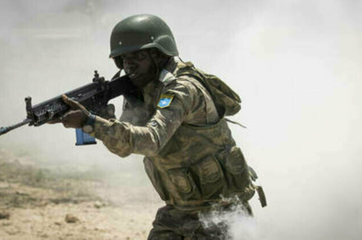 Al-Shabaab captures town in African state - Reuters
