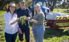 DPIRD’s Catherine Borger, Dave Nicholson and Miranda Slaven investigated electric weed control, and the effect of soil moisture on its efficiency. Credit: Western Australian Local Government Association.