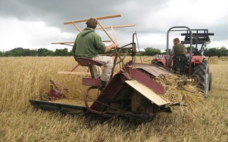 Traditional thatching industry under threat due to poor harvests and bad weather