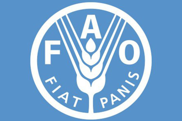 FAO Food Price Index edges up in July