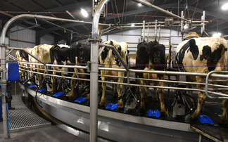 Investment in 80-point rotary parlour at Carmarthenshire dairy farm 