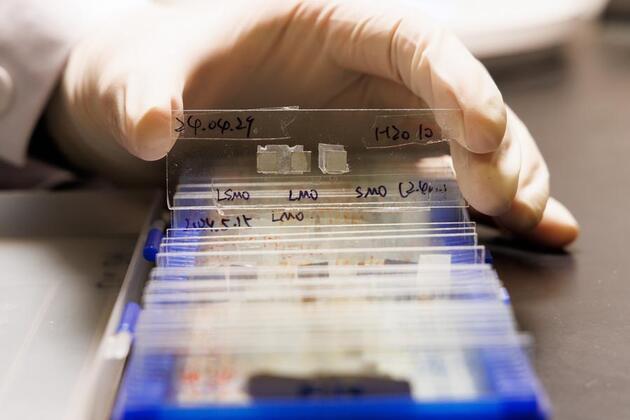 Update: China completes patent screening at universities, research institutions to enhance commercialization