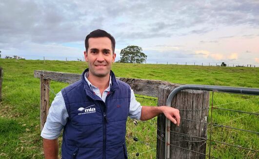 MLA adoption southern & western production systems project manager, Mitch Plumbe, said the BulkUp program aimed to give producers information needed to make big, impactful management decisions, rather than remaining stuck on day-to-day tasks.