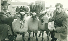 PICTURE GALLERY: Vintage farming photos through the ages