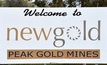 New Gold sells Peak to Aurelia