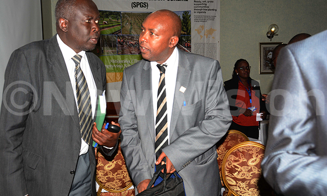 FAO steps in to save Bugoma forest FAO steps in to save Bugoma forest