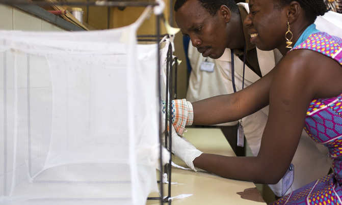 Clinical trial to find new treatment for kala-azar begins in eastern Africa Clinical trial to find new treatment for kala-azar begins in eastern Africa
