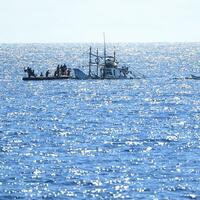Interview: Philippines burdened by South China Sea arbitration, says expert