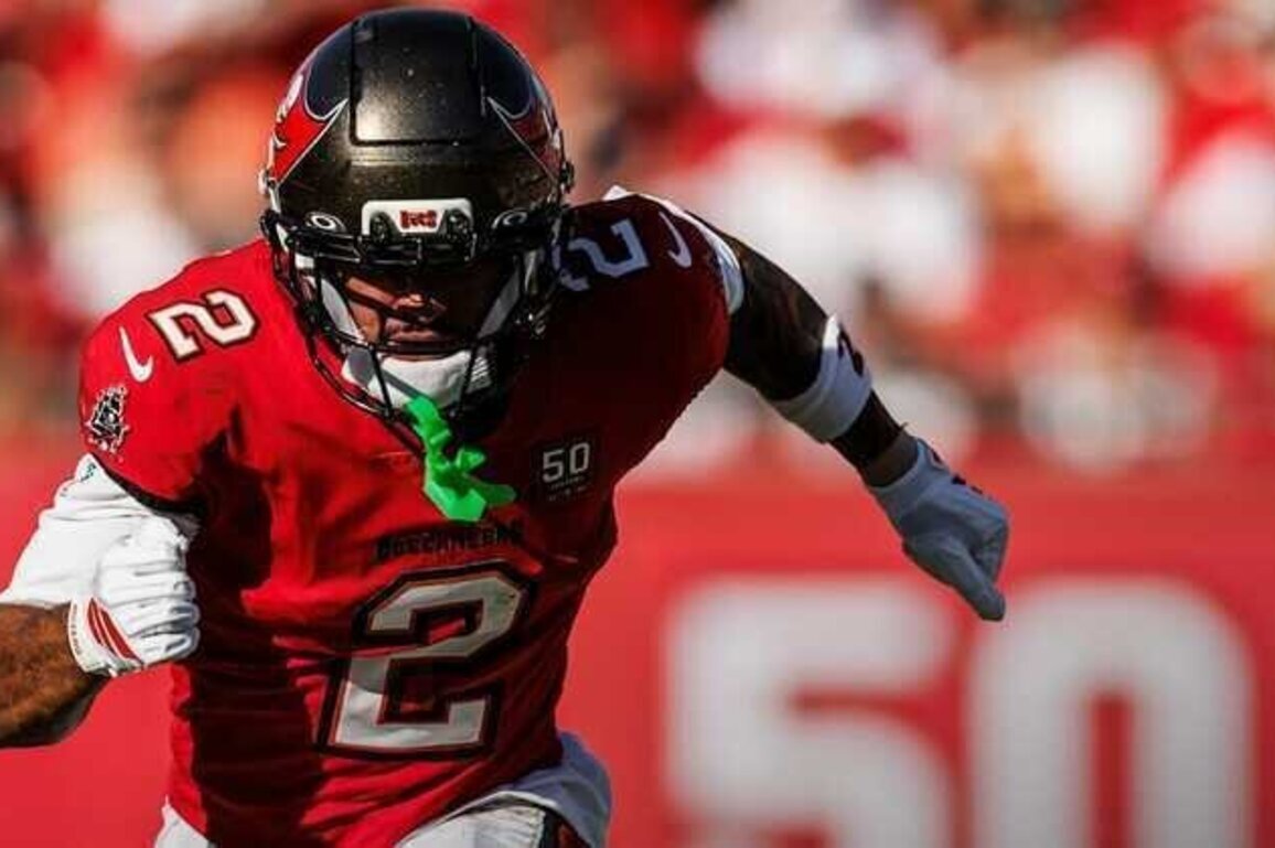 Rookie Year in Review: Emeka Egbuka