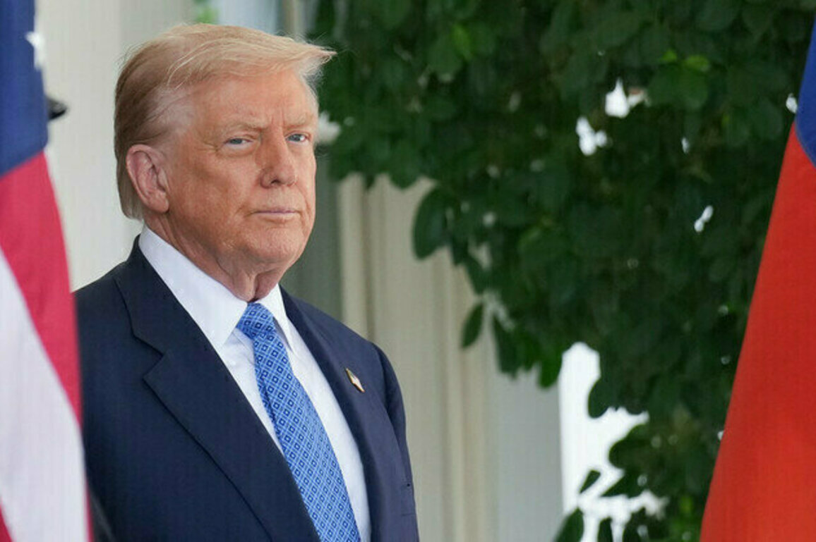 Everyone is to blame for Ukraine war  Trump