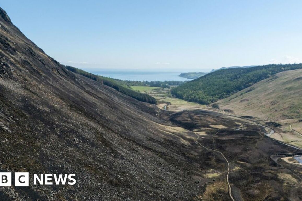 'Arran wildfire sent 10 years of work up in flames'