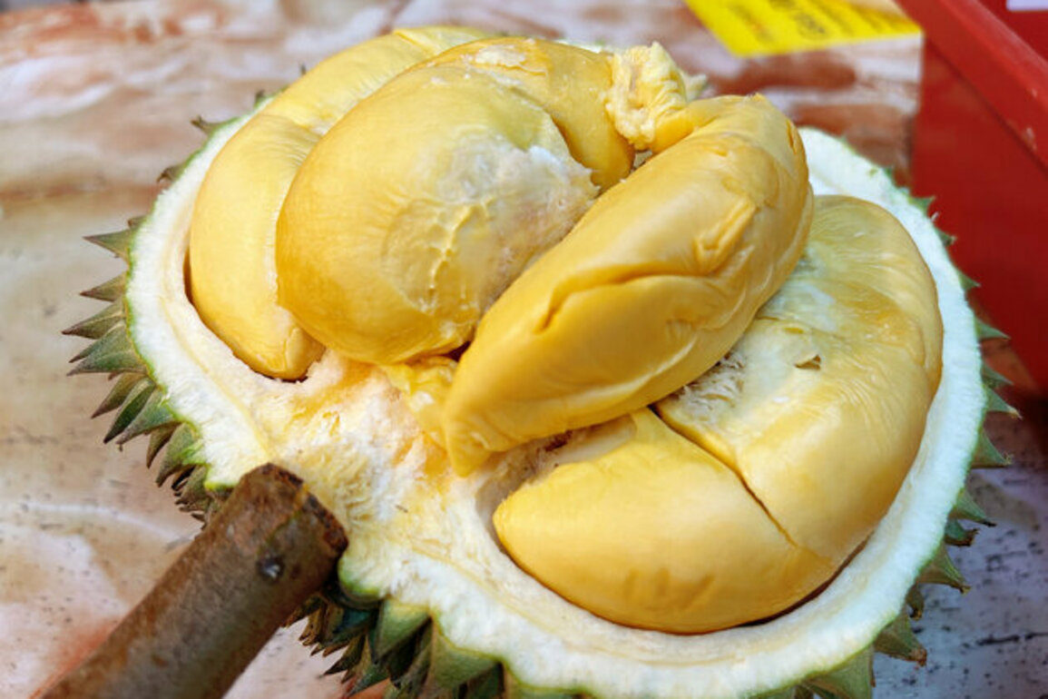 Malaysian durians gain popularity in China