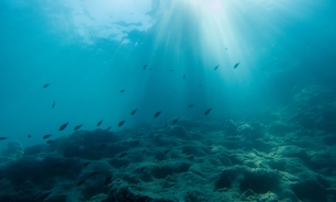 The White House is positioning deep-sea mining as a source of secure supply.