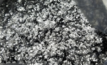 Graphite demand could climb by 450-500% by 2050